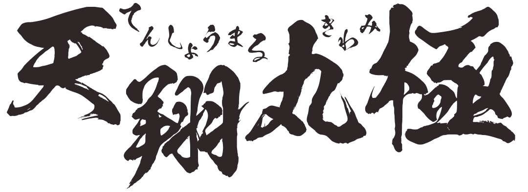 天翔丸極